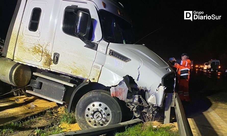 Camión chocó con vacunos en la Ruta 5 Sur cerca de Paillaco
