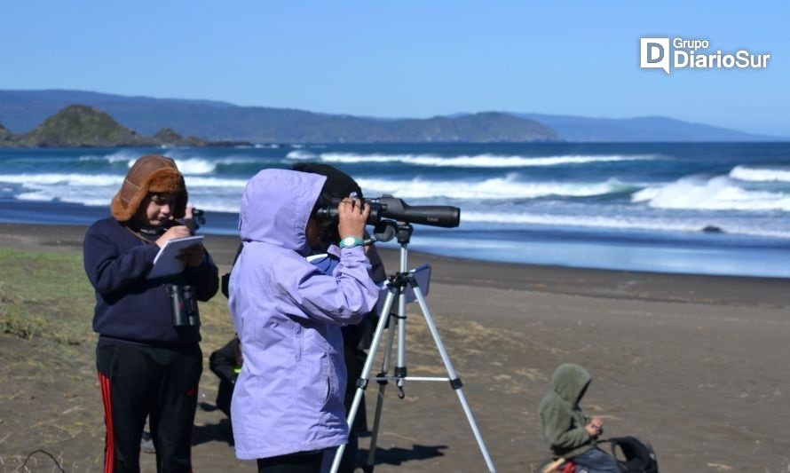 Jóvenes chilenos desarrollan una pasión por la ciencia de las aves migratorias