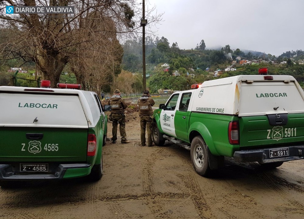 Carabineros detuvo a joven que mató a hombre de 30 años con una motosierra