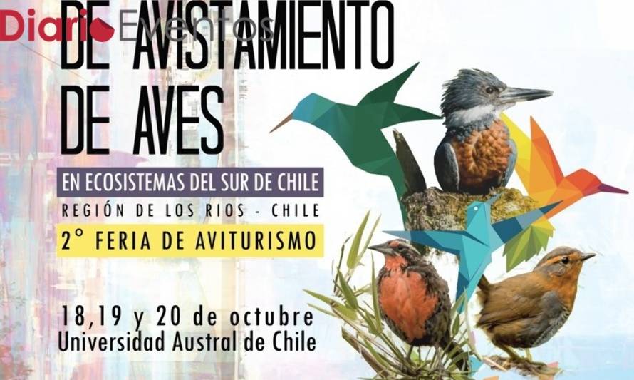 Valdivia acogerá 2°Encuentro Nacional de Avistamiento de Aves 