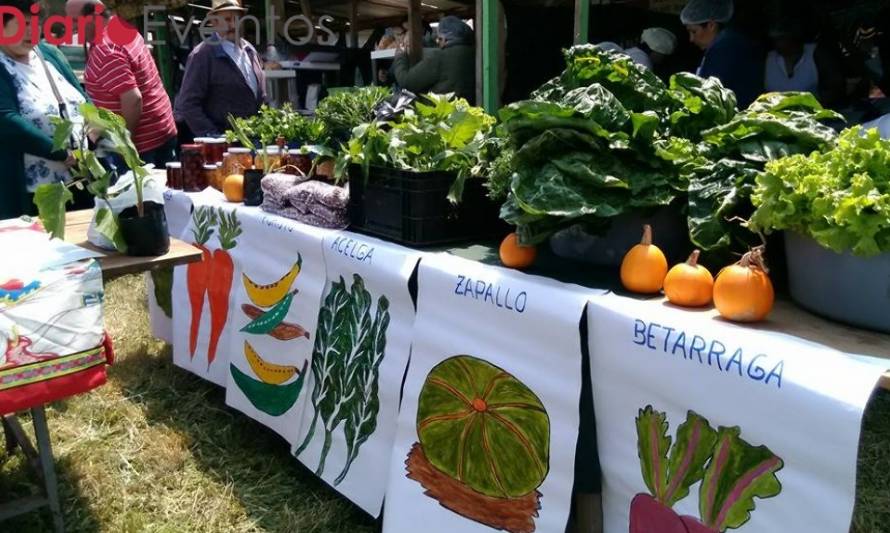 La mejor Gastronomía de Paillaco en la Fiesta Costumbrista de Santa Filomena