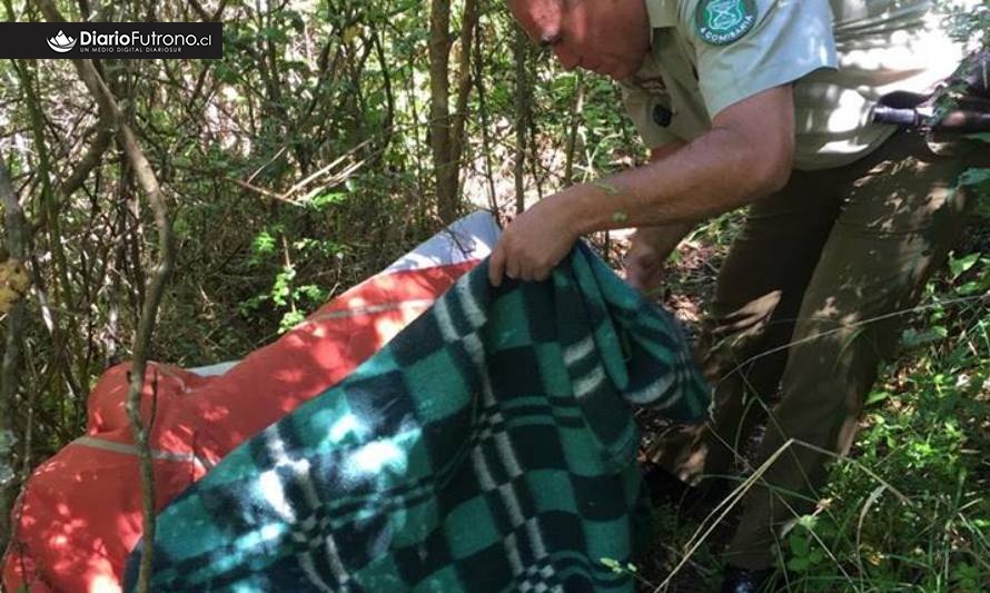 Dueña de casa y Carabineros frustraron robo en vivienda de Futrono