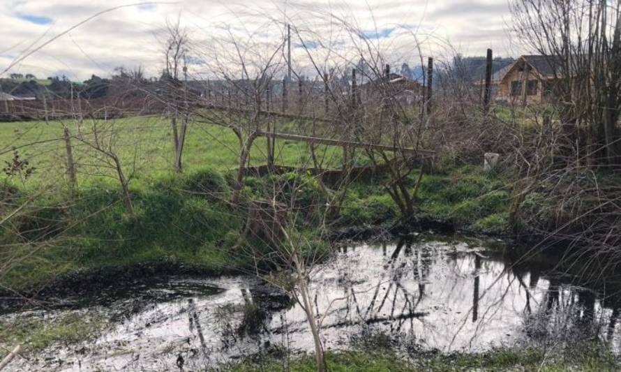 La Unión: Gobierno interpone denuncia ante la PDI por contaminación en el sector La Flor