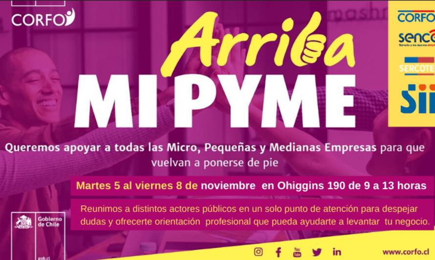 Corfo abre sus puertas para ir en ayuda de pymes afectadas en Los Ríos 