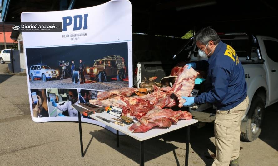 PDI sorprendió a 4 sujetos mientras faenaban vacunos en San José de la Mariquina