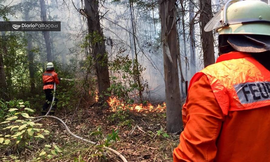Bomberos de Paillaco controló incendio forestal en sector La Luma