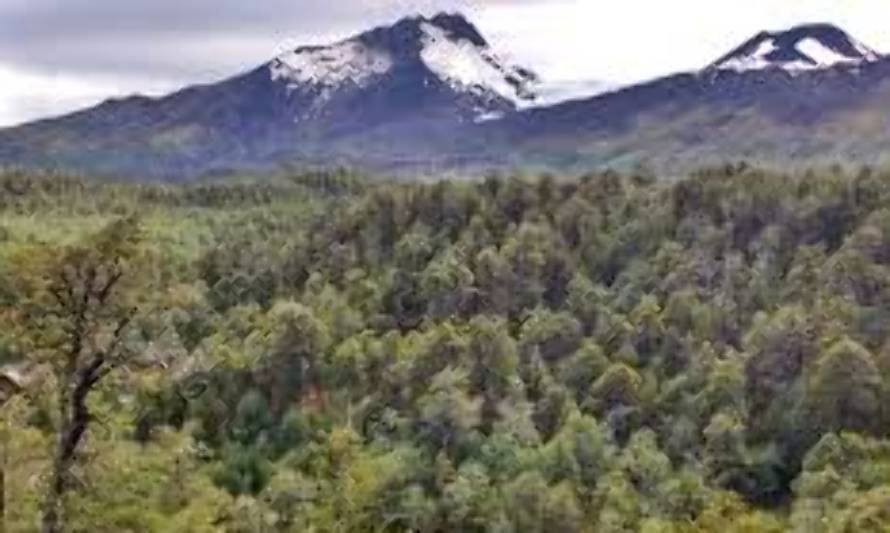 Confirman que Mocho Choshuenco se encuentra en tierra derecha para ser Parque Nacional

 