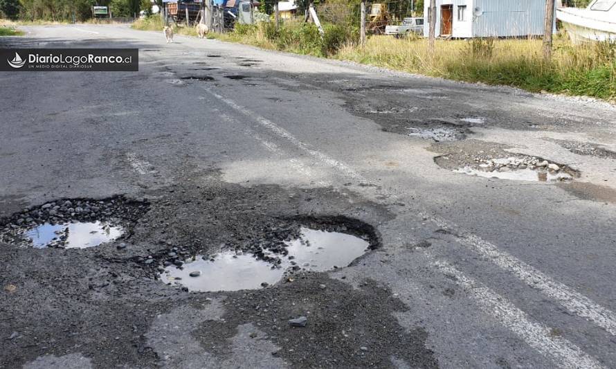 Ranquinos llevan meses esperando que Vialidad repare caminos rurales 