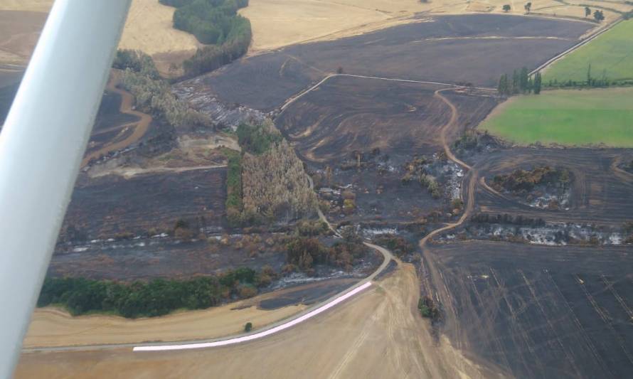 Se declara Alerta Temprana Preventiva para la Región de Los Ríos por amenaza de incendio forestal