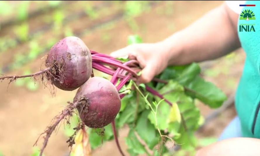 Expertos destacan importancia de la agroecología post Covid-19