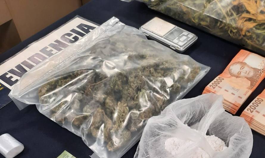 PDI Los Ríos incautó cocaína y cannabis en Panguipulli