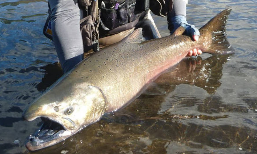 Berger llamó a endurecer penas para pescadores furtivos