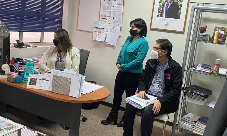 Dirección del Trabajo instaló mesa de trabajo en Celulosa Arauco para verificar medidas sanitarias de sus contratistas