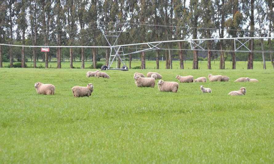 Inician talleres online para apoyar a agricultores de la región