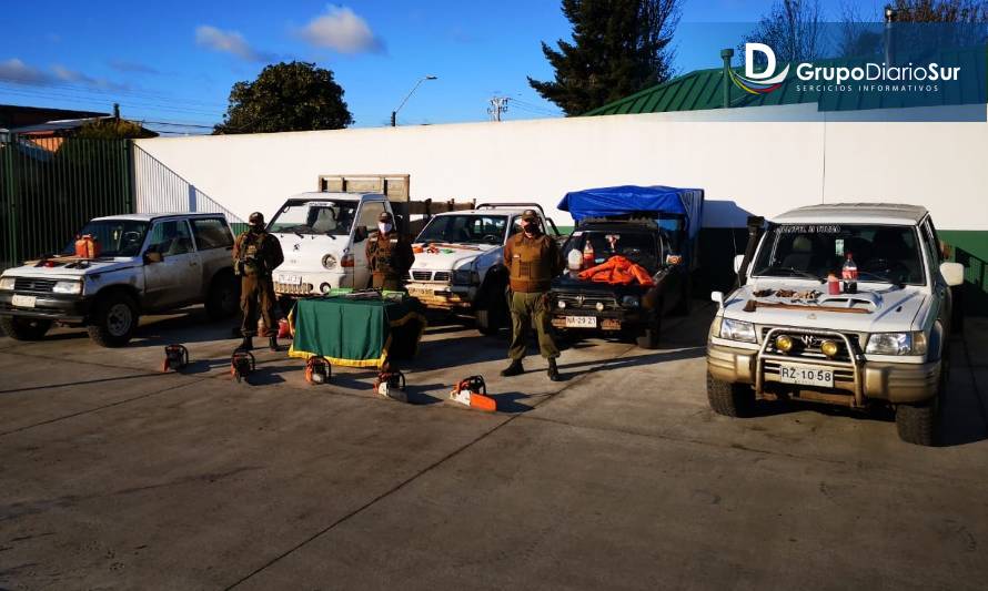 Carabineros de La Unión detuvo a 10 sujetos sorprendidos hurtando madera en un predio