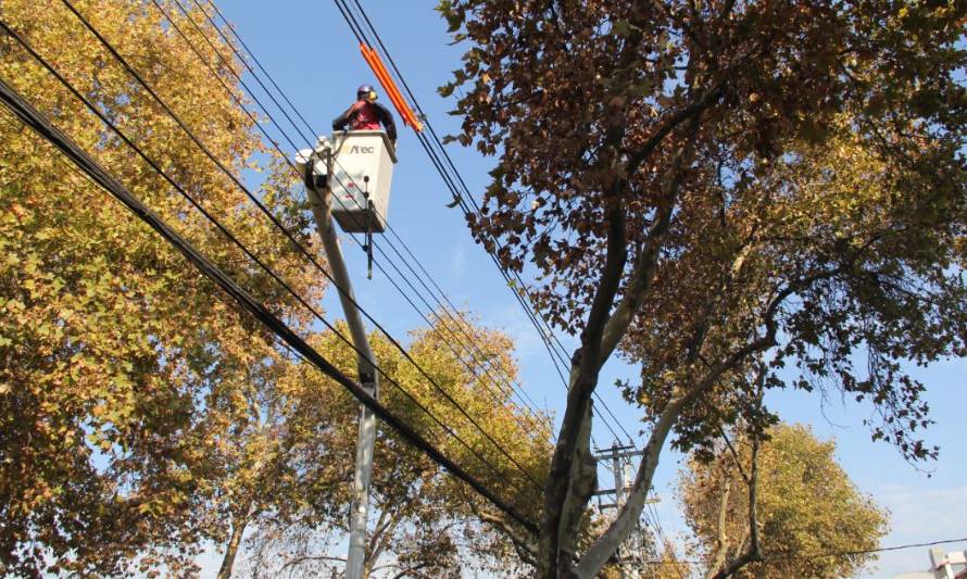 SEC exige a empresas eléctricas adoptar medidas para evitar cortes de luz ante sistema frontal