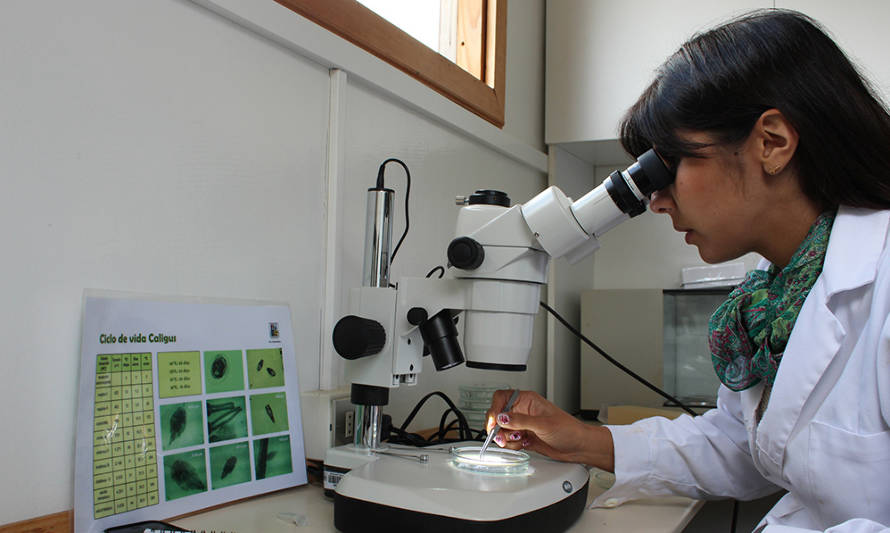 Skretting firma convenio de colaboración con la Universidad Austral de Chile