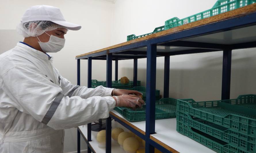 Programa fortalecerá la innovación en pequeños productores  lácteos 