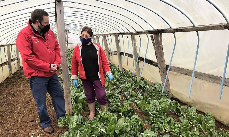 Con agricultura bajo plástico se proyecta potencial hortícola de la región  