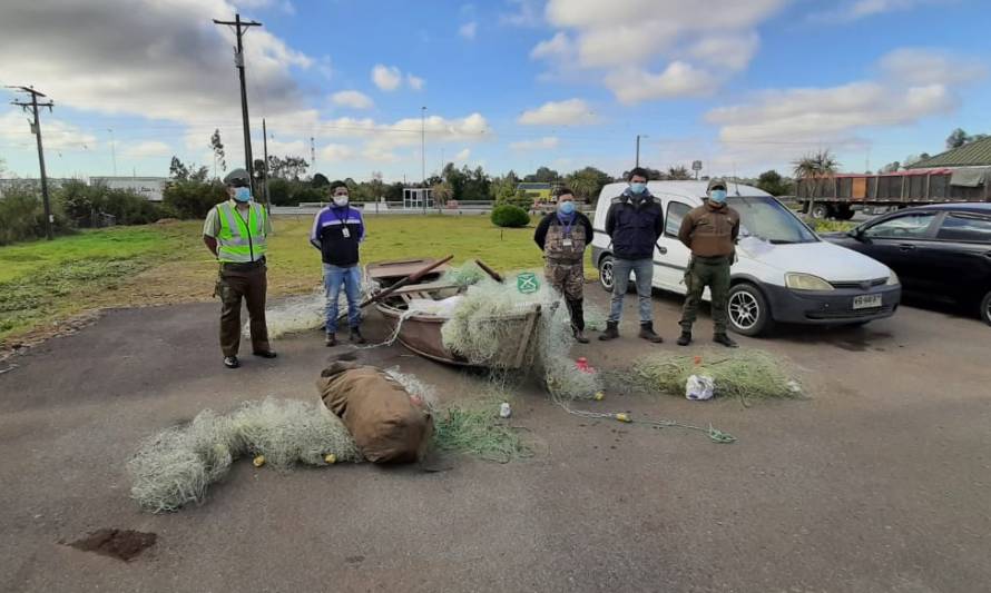 Sernapesca desbarata campamento de pescadores furtivos en el río Bueno