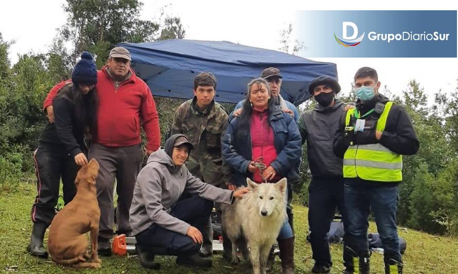 Sepa qué pasó con perrito rescatado del cerro en Lago Ranco