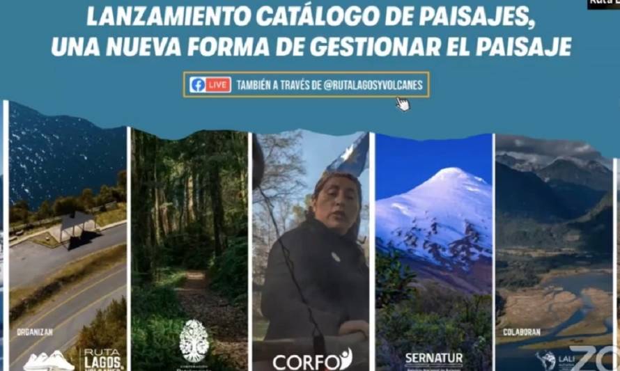 Expertos entregan consejos para gestionar paisaje de Ruta Escénica Lagos & Volcanes