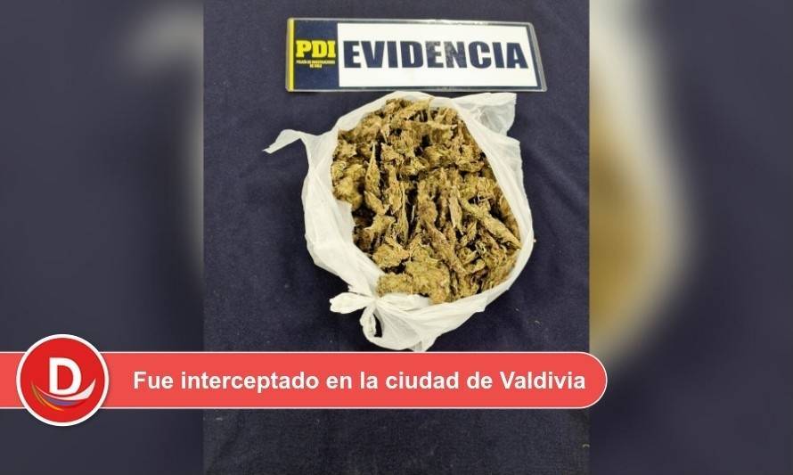 Detectives detuvieron a joven que portaba mochila con 1/2 kilo de marihuana