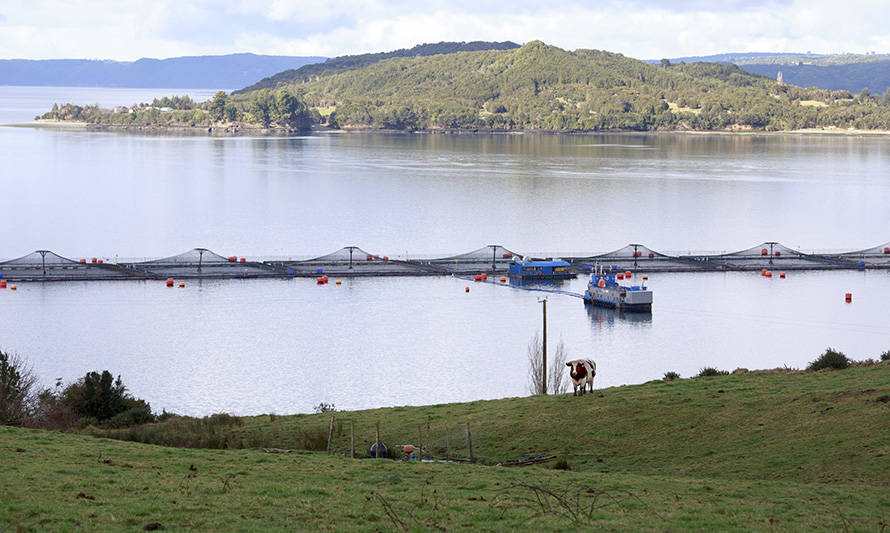 Empresas de SalmonChile firman acuerdo voluntario de sustentabilidad y cambio climático
