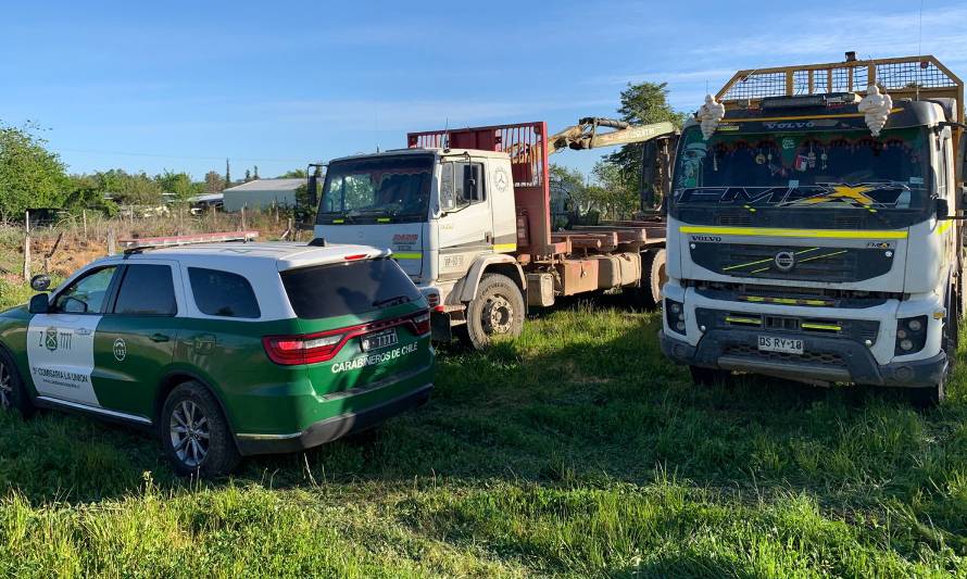 Hurto de madera en La Unión deja varios detenidos