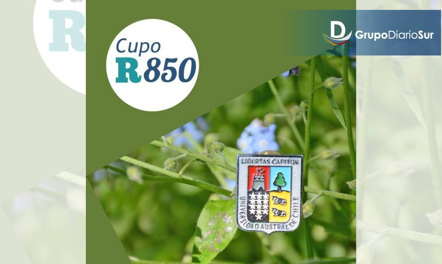 UACh invita a conocer los cupos Ranking 850