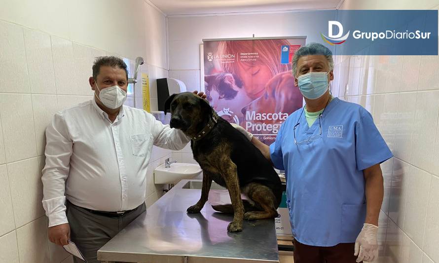 Habilitan Centro Veterinario Municipal para atención gratuita de mascotas en La Unión