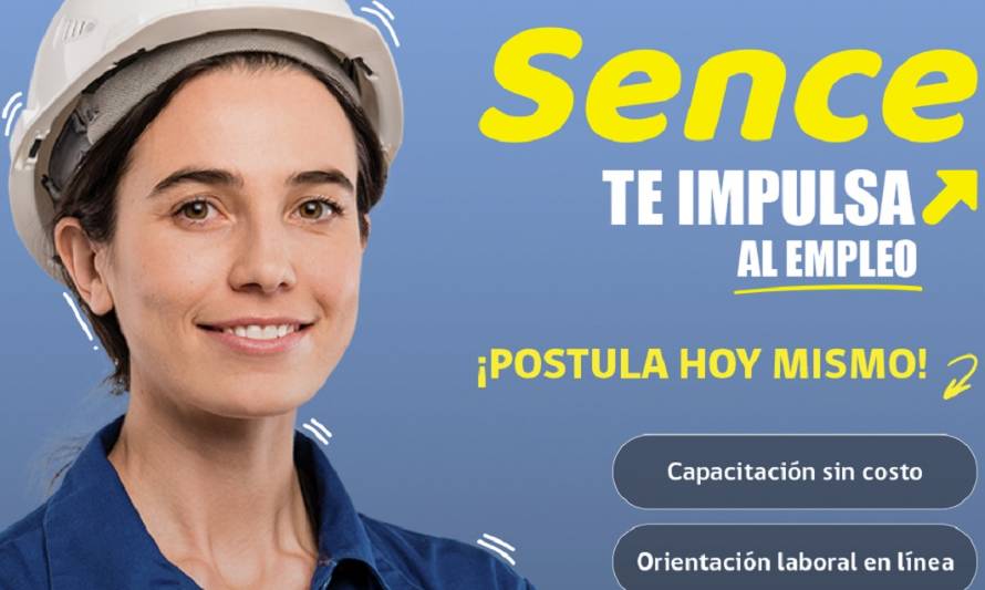 Orientación Laboral en línea e IFE Laboral: Los pilares con que el Sence impulsa al empleo