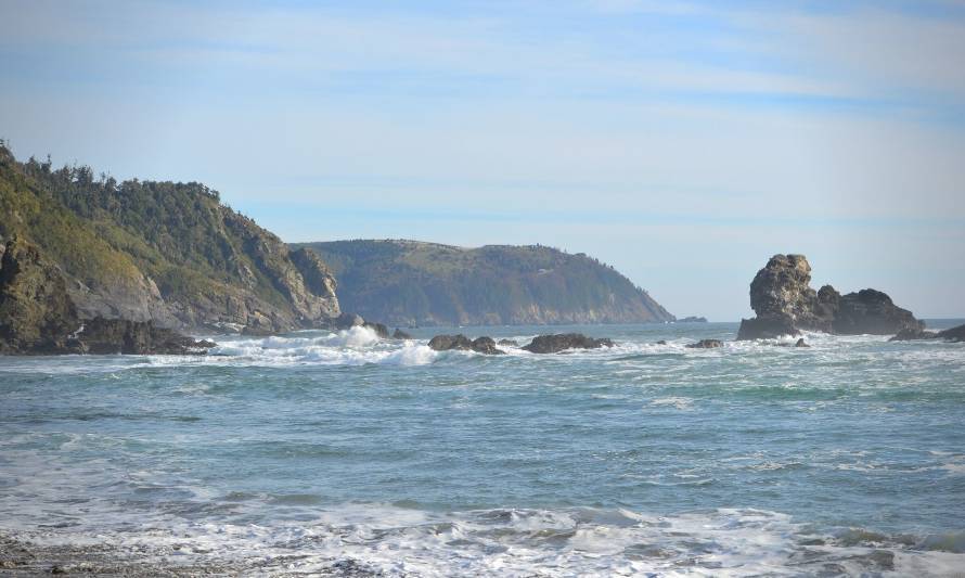 Demandan reparación del daño ambiental ocasionado por desarrollo de proyectos inmobiliarios en la costa valdiviana