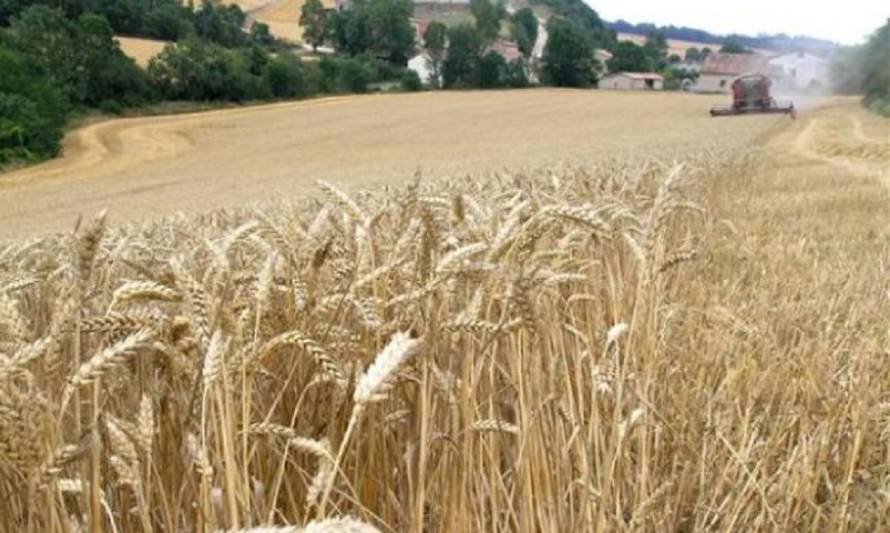 Preocupante retroceso de la frontera agrícola fortalecería la desigualdad en los territorios rurales