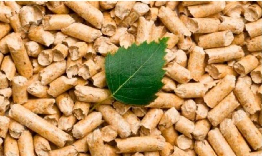 Planta de Pellet de La Unión necesita ayudantes de producción
