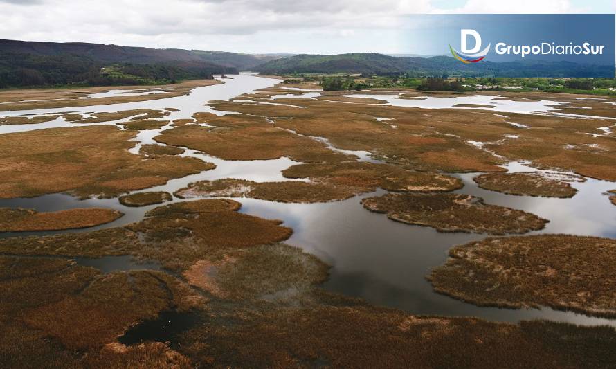 Comenzó la tercera etapa del Diagnóstico Integral de los Humedales de Los Ríos