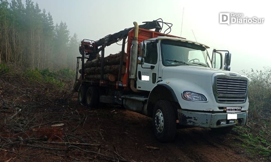 PDI detiene a dos sujetos por sustracción de maderas en La Unión