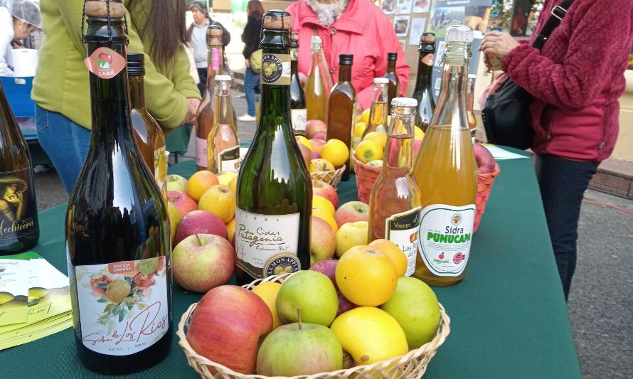 Impulsan ruta de desarrollo para la sidra de manzana patrimonial de Los Ríos 