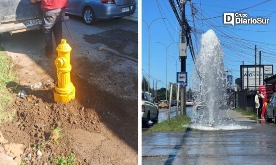 Otra vez: destruyen grifo en Valdivia