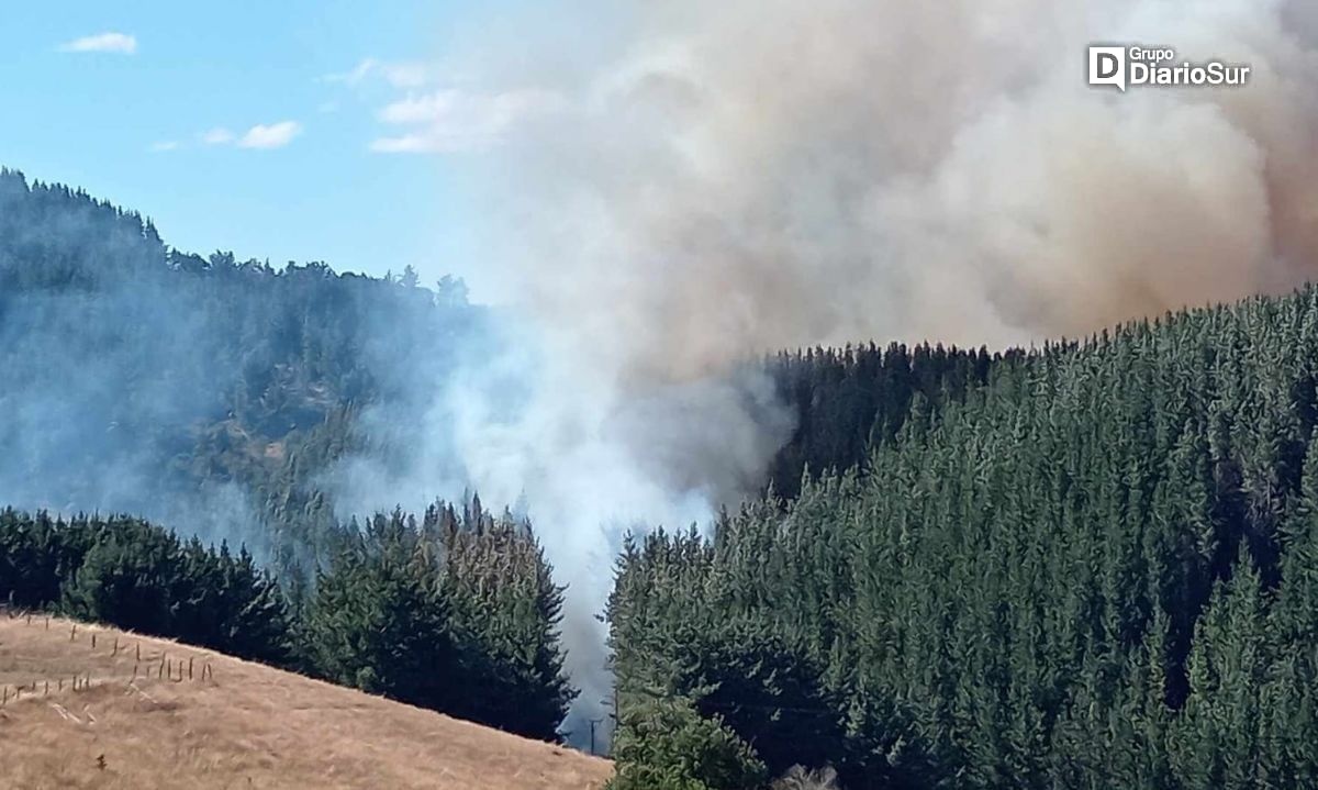 Incendio forestal en San Pablo es combatido por Bomberos y Conaf