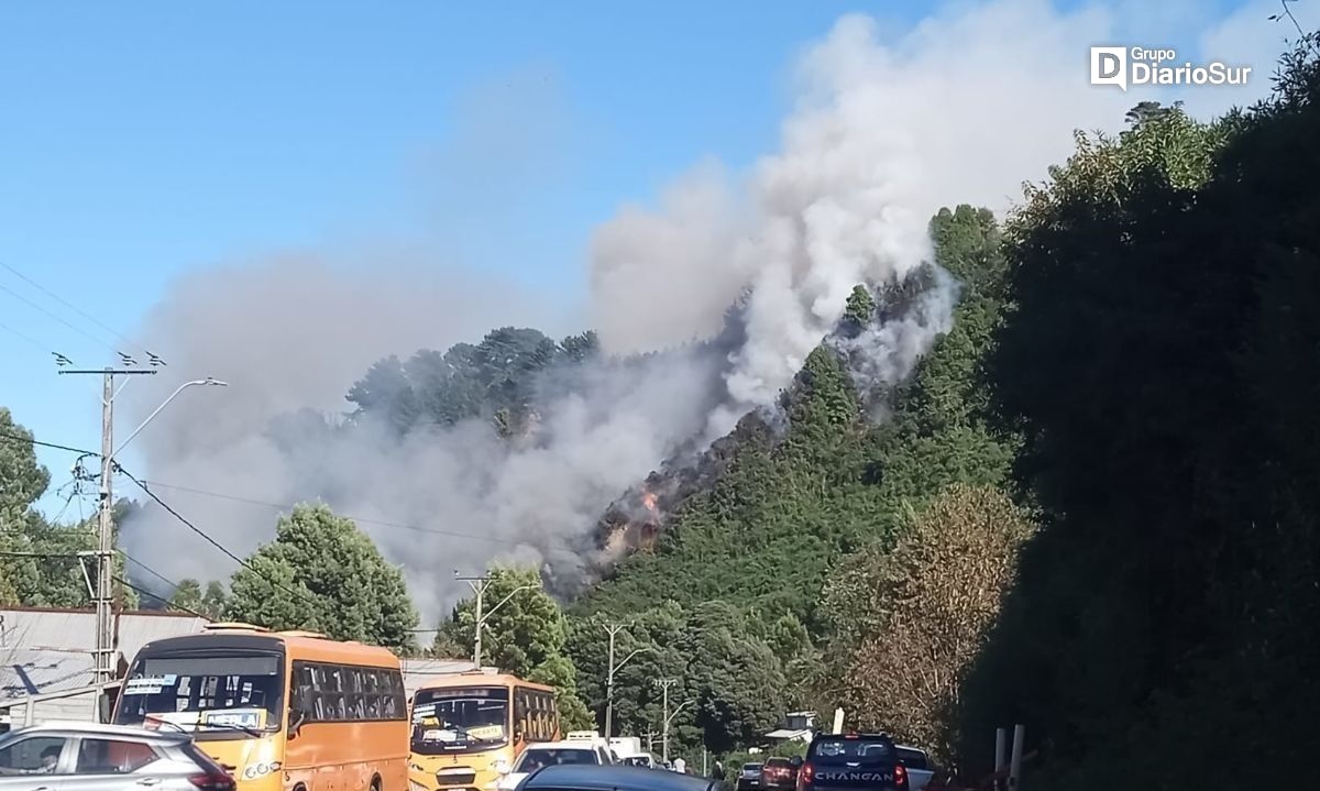 Fiscalía confirma detención de dos autores del incendio ocurrido camino a Niebla