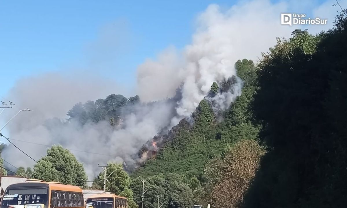 Formalizan a pescadores imputados por causar incendio forestal en Niebla