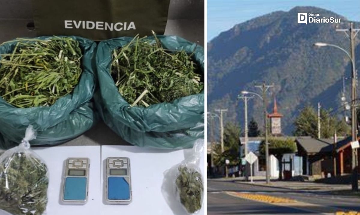 En localidad cordillerana de Los Ríos detuvieron a delincuente por narcotráfico