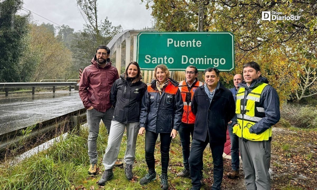 Fortalecerán seguridad vial en acceso a puente Santo Domingo en Ruta Valdivia-Paillaco