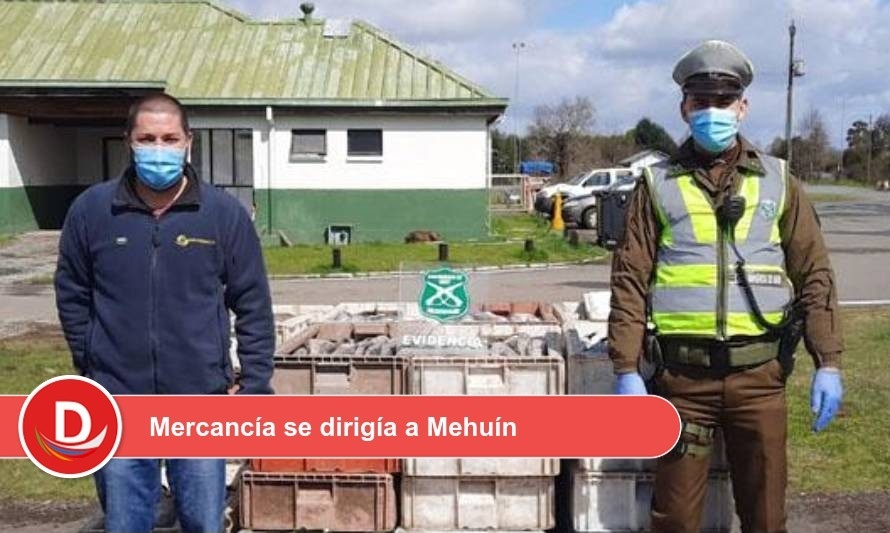 Detectan casi 2 toneladas de merluza y salmón ilegales en La Unión