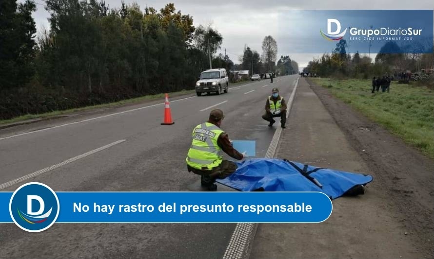 Cadáver apareció este viernes a un costado de ruta Valdivia - Mariquina