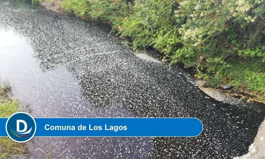 Vecinos de Los Lagos denuncian grave contaminación industrial