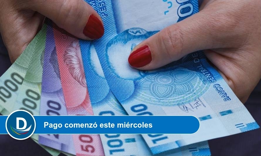 4.103 trabajadores han sido beneficiados con IFE Laboral en Los Ríos