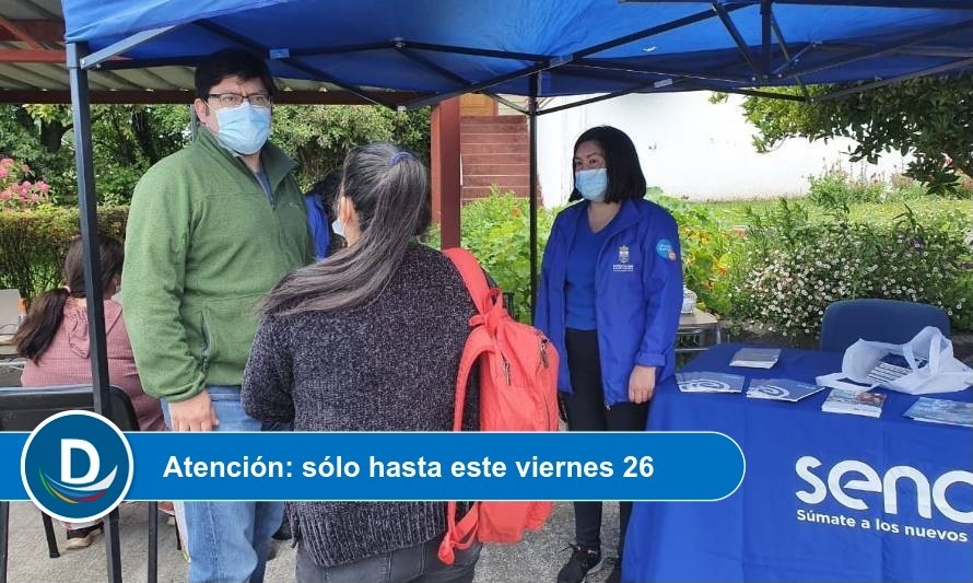 Nueva Feria Laboral en Línea se concentra en las comunas del Ranco 