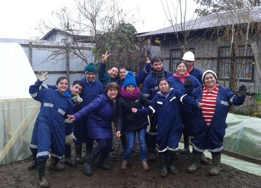 Jóvenes en situación de discapacidad del Ranco serán operadores de cultivos en invernaderos